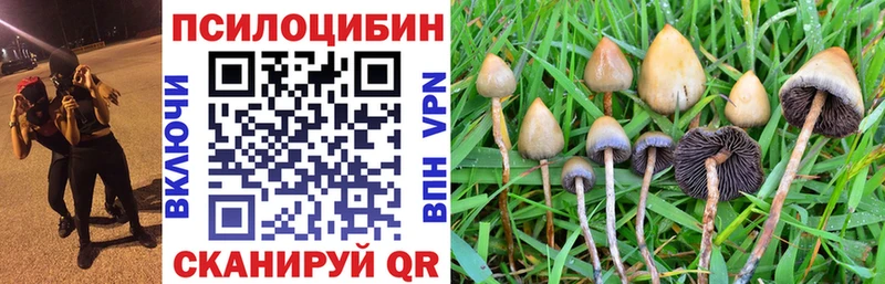 Галлюциногенные грибы Magic Shrooms  Купить закладки  Пугачёв 